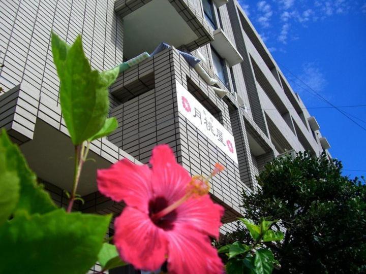 Shimayado Gettoya Ishigaki  Экстерьер фото
